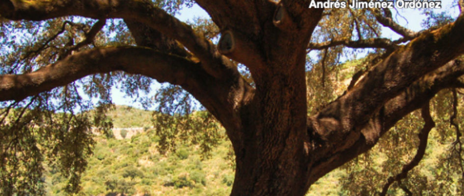 Screenshot 2024-08-30 at 11.36.16